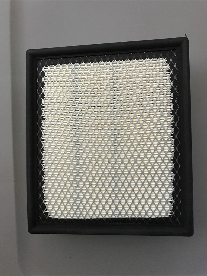 Filtro de aire Hastings AF1706 envío gratuito 46253 Foto 1 de 2