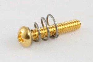 Allparts GS-0007 Single Coil Pickup Screws - Gold, Pack of 8 - Picture 1 of 1