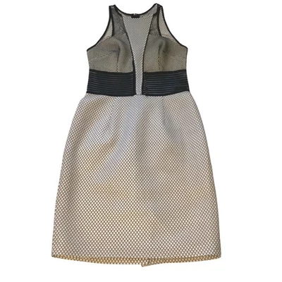 Sachin & Babi Mesh-Inset Sheath Dress – Size 2, Nylon/Spandex Blend - image 1 of 4