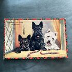 Vintage Postcard Scotch Dog Studies Hoping To Hear From You 1959 Bc