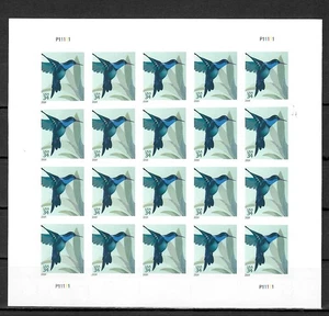 USA 2014: Hummingbird, Vögel - Kolibri, sheet, postfrisch - Bild 1 von 1