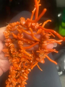CORALLA RAMA NARANJA CORAL - Imagen 1 de 11