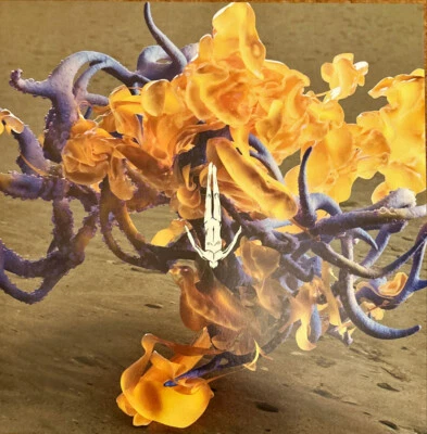 Fideles - Night After Night (CamelPhat) | Vinyl 12" | AL076 | Afterlife | NEU - Bild 1 von 4