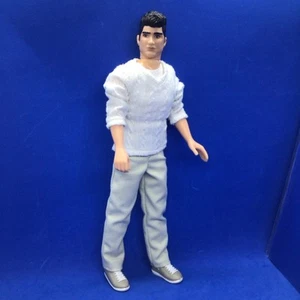 ONE DIRECTION ZAYN MALIK DOLL 2012 HASBRO - Picture 1 of 19