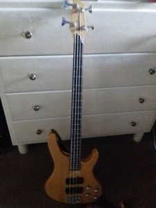 Basso Elettrico WASHBURN XB-400 natural/chrome con custodia morbida compresa! - Foto 1 di 5