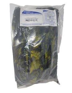 100 Pack Gateway Feathers FULL LENGTH Right Wing: Camo Tre Yellow: FLRTYL-100 - Picture 1 of 4