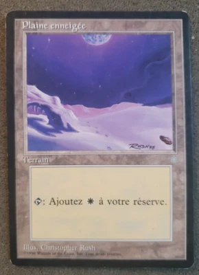 Snow-Covered Plains Ice Age PLD Basic Land MAGIC THE GATHERING french (DS3D1PQ). - Image 1 of 4