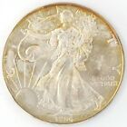 1996  P American Silver Eagle 1 OZ US $1 Coin SAE Key Date Toned