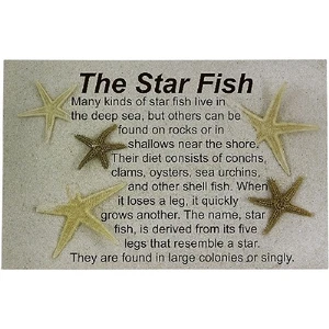 18 Legend of the Sea Star Postkarten (18 Stück) - Bild 1 von 1