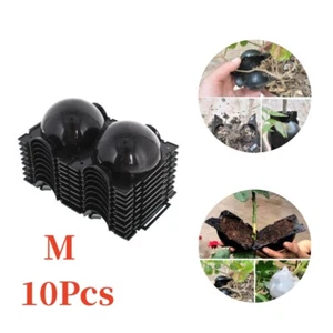 M ×10 Plant Rooting Devices Growing Grafting Box High Pressure Propagation Ball - Picture 1 of 14