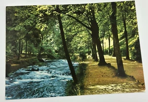 Postcard Wilbad Germany Nature Scene Stream Trees Vintage - Picture 1 of 2
