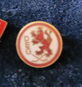 DÜSSELDORFER EG ➔ Eishockey ➔ Anstecknadel *aus Sammlung*  13599 - Bild 1 von 1