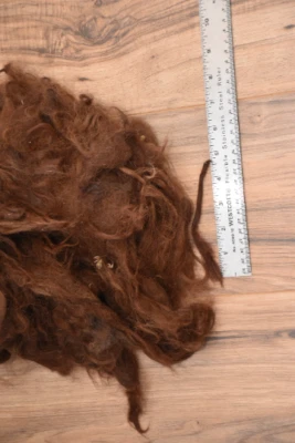 Alpaca Wool Fiber Fleece 2nds copper Max 6oz - Image 1 of 2