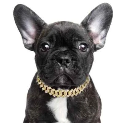 Pet Cat Dog Collar Gold Silver Plated Cuban Chain Cubic Zirconia Iced Necklace - Image 1 of 4