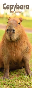 Calendario Capybara Slim 2026 | Regalo Slimline 15% DE DESCUENTO VARIOS PEDIDOS - Imagen 1 de 8