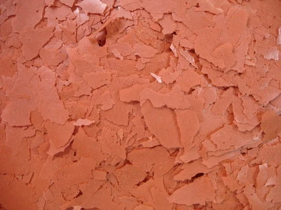 BESTFLAKE Worldwide Aquatics - 2.5lbs Premium Color Brightener Flake