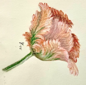 1998 Stylized Rose Flower Floral Still LIfe 12x9 inches - Picture 1 of 2