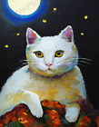 Wall Art Digital Image Oil Picture Photo Wallpaper Background Cat In Night