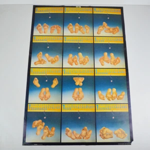 Feet Calender 1976 - Ingo Schütte - Póster vintage - Calendario - Pies - Scandecor - Imagen 1 de 7
