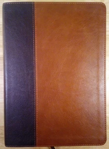 Every Man's Bible: NLT Tyndale Study Bible Large Print Brown/Tan - Imagen 1 de 9
