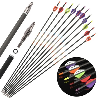 31" Pure Carbon Arrows SP250-600 Archery Recurve Bow Shooting Compound Bow Hunt - Image 1 of 4