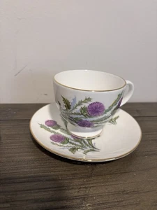 Mayfair Staffordshire England Fine Bone China Teetasse & Untertasse - Distelmuster - Bild 1 von 6