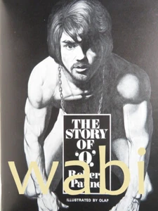 1977 OLAF Odegaard gay art masculine drawings vtg Robert Payne Story of Queer - Picture 1 of 4