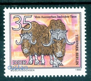 1980 The muskox (Ovibos moschatus) ,Endangered Species,Germany/DDR,2527,MNH - Picture 1 of 1