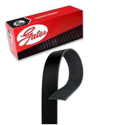 Cinturón Gates Serpentine para Peterbilt 587 2011-2017 14,9 L L L6 diésel Foto 1 de 4