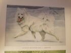 Louis A Fuertes SAMOYED bookplate from 1919 National Geographic Magazine