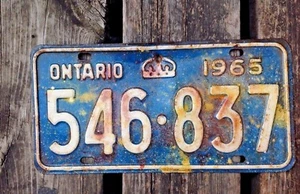 OOAK Customized,Vintage Ont 1965 License Plate, Art,Glitter,Decorative,M/W Cave - Bild 1 von 9