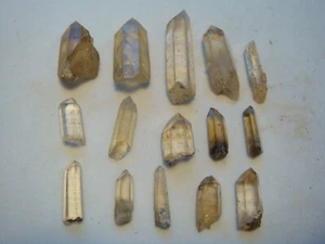 15 Citrine Quartz Crystals Mineral Specimen From Inverell NSW 30 gram Natural 1 - Picture 1 of 5