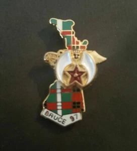 Shriners Bruce Shrine 1997 Green Red Plaid Bruce County Ontario Hat Pin - Picture 1 of 2