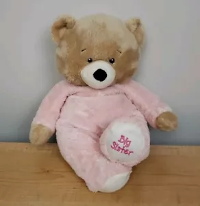 Marsupio tascabile Baby Ganz 14" peluche orsacchiotto sorella maggiore marrone rosa pigiama - Foto 1 di 14