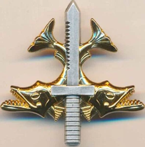 Brevet Plongeur Qualifié d’Intervention Offensive,E.P.A.T, Beraudy GS 184 (8514) - Bild 1 von 2