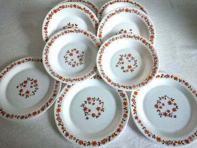  9 Assiettes Arcopal  france modèle SCANIA 6 creuses 3 plates vintage 70s - Photo 1/4