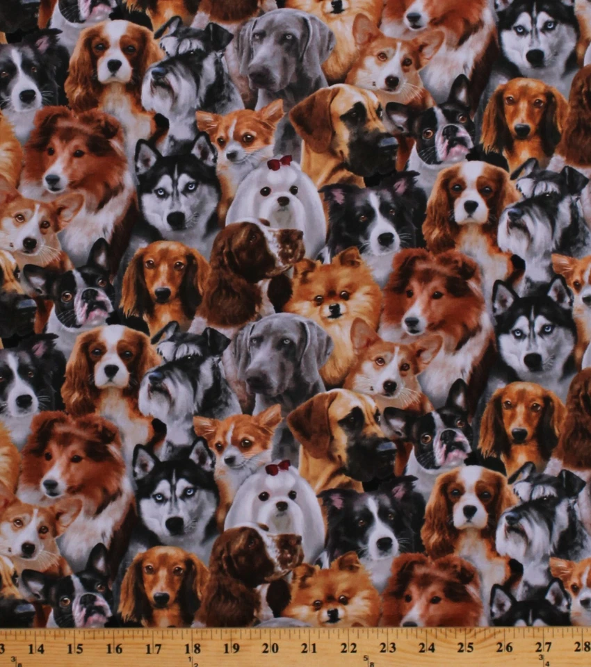 Algodón Perros Perros Razas Collies Huskies Animales Mascotas Tela Estampado POR D651.10 Foto 1 de 1