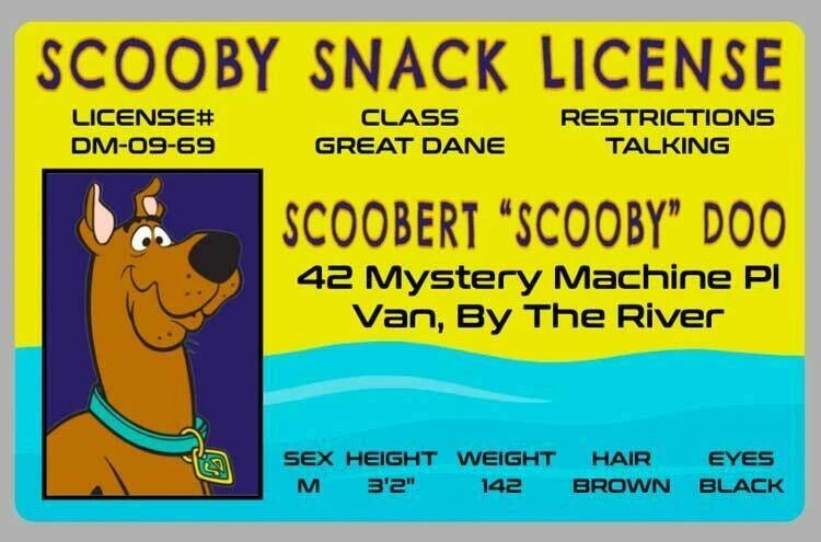 Scooby Doo Laminated Snack License Trading Card, Free Shipping in U.S. !!! - Image 1 of 1