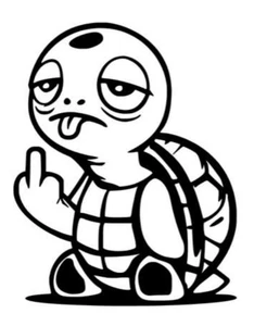 1x Schildkröte Lustig Auto Aufkleber 14x11 cm Sticker Stinkefinger Wasser - Bild 1 von 2