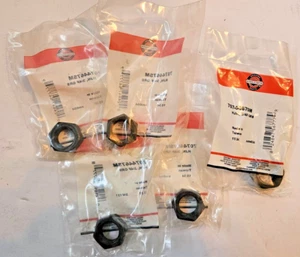 Lote de 5 Briggs and Stratton Parte Nº Tuercas hexagonales 7074467SM - Nuevo stock antiguo - Imagen 1 de 4