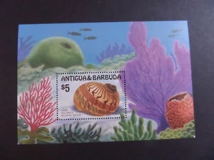 Antigua y Barbuda 1986 Sea Shells MS1027 MNH sin montar como nuevo - Imagen 1 de 1