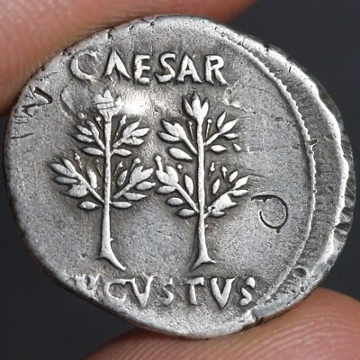 Emperor Augustus Denarius 19BC Ancient Roman Empire Silver Coin Laurel Trees - Image 1 of 4