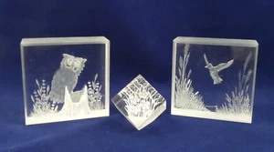 3 VTG Acrylic Lucite Carved Paperweights - Sculptures Owl Bird Flowers Signed - Imagen 1 de 5