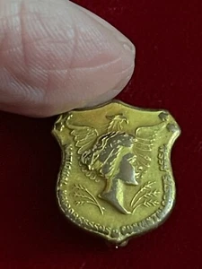 National Hairdressers Cosmetologist Association Vtg Award Hinge Pin .65" - Picture 1 of 4