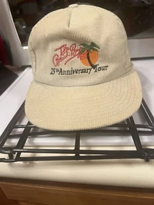 The Beach Boys 1987 25th Anniversary Tour Hat - Picture 1 of 6