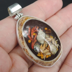 925 Sterling Silver Natural Shell & Clear Resin Picture Pendant, NSP-635 - Picture 1 of 7