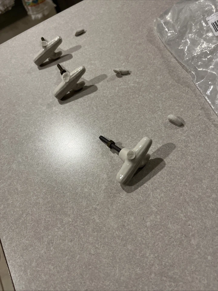 Lote de perillas de porcelana tiradores de cajón de cactus de cerámica blanca marfil gabinete de cactus Foto 1 de 1