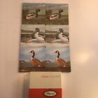 Vintage Set of 6 Pimpernel Waterfowl Drinks Coasters Mats. Ducks Drakes Mallards