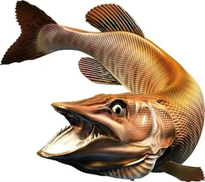 Tiger Musky Vinyl Sticker Fish Decals for Boat Car Vehicle Truck Fishing - Foto 1 di 13