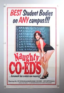 NUAGHTY CO-EDS- 1975- 27x41 Original Sexploitation Movie Poster  A14-28-2 - Picture 1 of 10